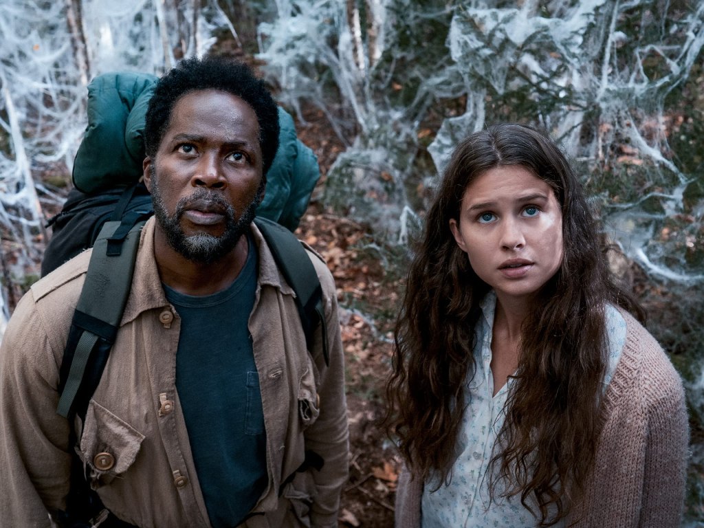 Boyd and Sara look bewildered.